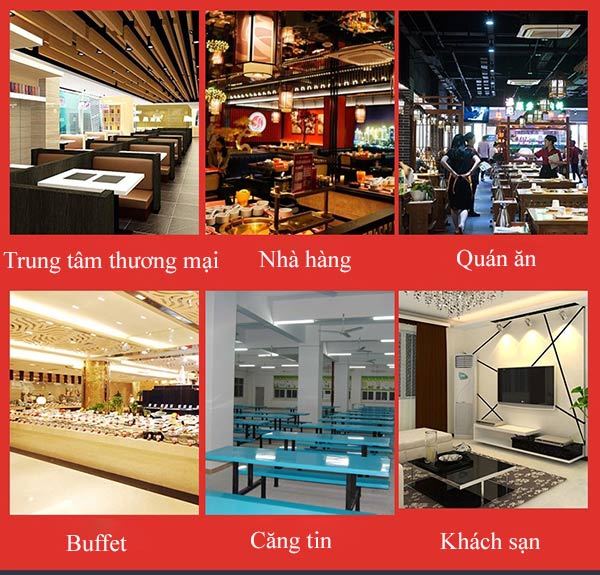 Đa dạng không gian sử dụng