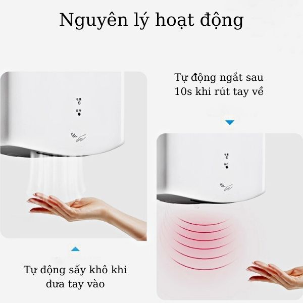 Máy sấy có chế độ cảm biến giúp tiện lợi khi sử dụng, tiết kiệm điện năng