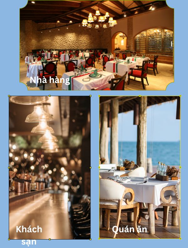 Đa dạng không gian sử dụng