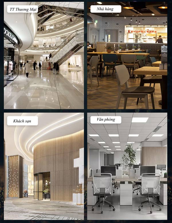 Đa dạng không gian sử dụng