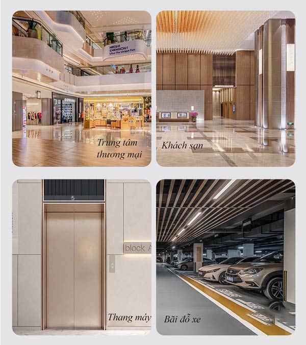 Đa dạng không gian sử dụng