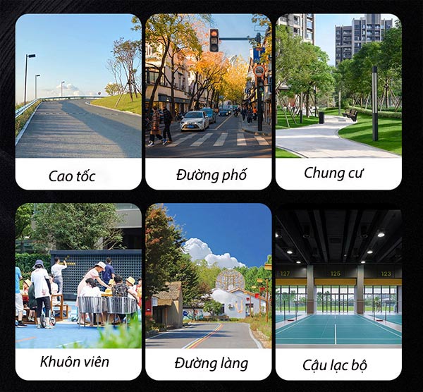 Đa dạng không gian sử dụng