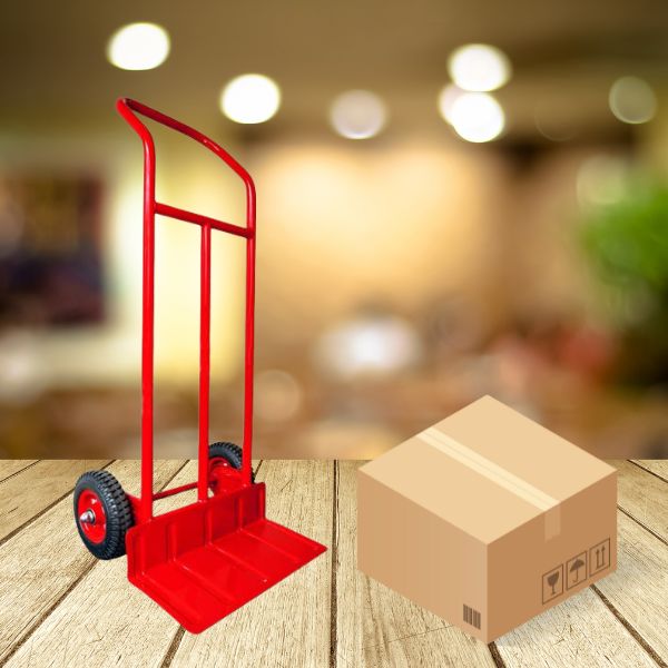 xe đẩy hàng 2 bánh của Hành Tinh Xanh