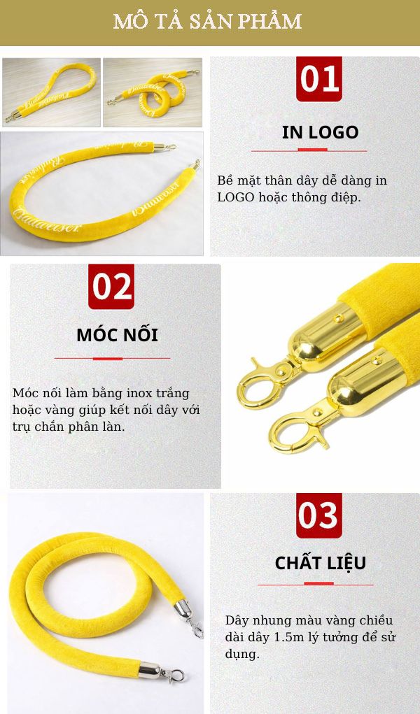 Hình ảnh mô tả sản phẩm