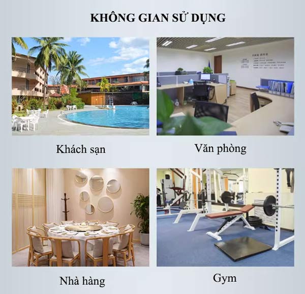 Đa dạng không gian sử dụng